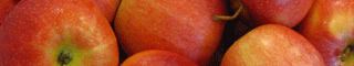 apples