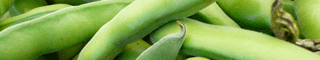 beans