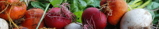 beets