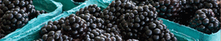blackberries