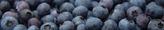 blueberries