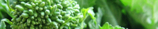 broccolirabe