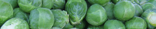 brussels sprouts