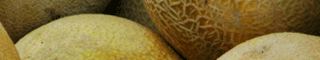 cantaloupe