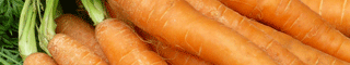 carrots