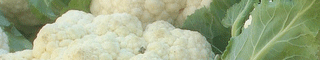 cauliflower