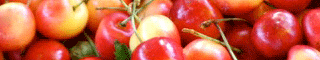 cherry