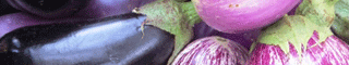 eggplant