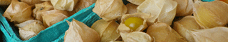gooseberries