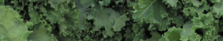 kale