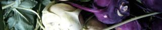 kohlrabi