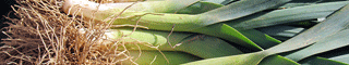 leeks