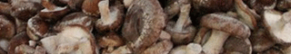 mushrooms