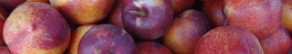 nectarines