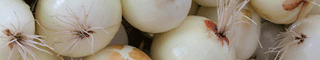 onions